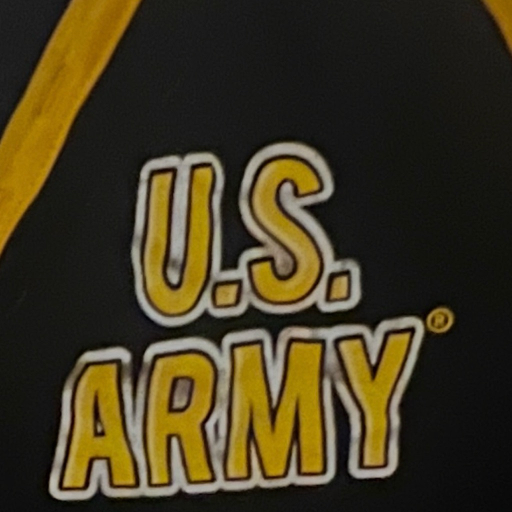 U.S. Army Black With Yellow Trim T-Shirt Dress